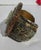 Shabby Chic Wendy Gell Cuff Dated 1986 Size 6.15 For Sale - Image 3 of 11