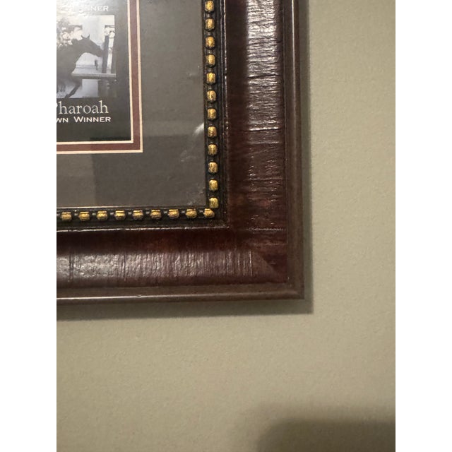 Coffee Framed Triple Crown Horse Racing Memorabilia Featuring American Pharoah & Historic Winners For Sale - Image 8 of 11