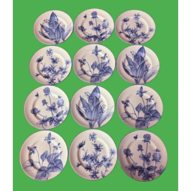 American Tiffany & Co. Botanical Plates Collection Circa 1990s - Set of 12 For Sale - Image 3 of 11