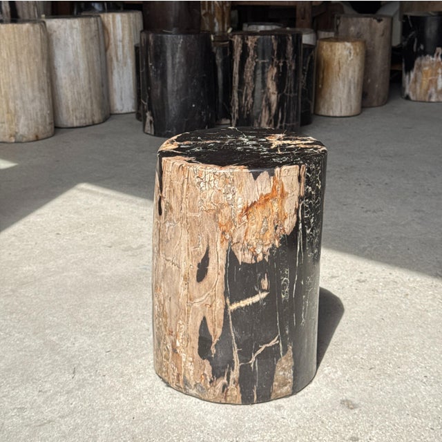 Side Table in Black Petrified Wood with Beige Sides, 1980s For Sale - Image 11 of 18