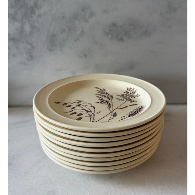 Mid 20th Century Small J&g Meakin Plates From Staffordshire - Set of 10 For Sale In Austin - Image 6 of 10