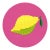 Circle Pink Lemon - Vibrant Abstract Fruit Still Life Painting on Panel - Original Artwork by Will Beger For Sale