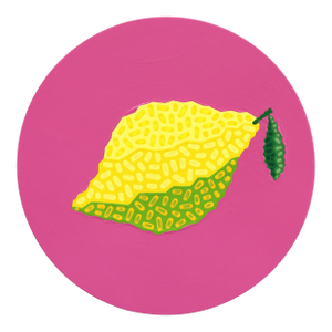Circle Pink Lemon - Vibrant Abstract Fruit Still Life Painting on Panel - Original Artwork by Will Beger