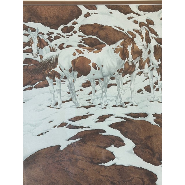 1970s "Pintos"–Bev Doolittle 403/1000 - Signed For Sale - Image 14 of 16