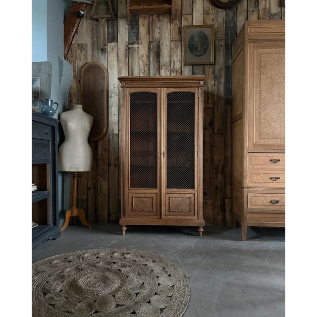 Antique Library with Wire Mesh Doors, 1890s For Sale - Image 16 of 16