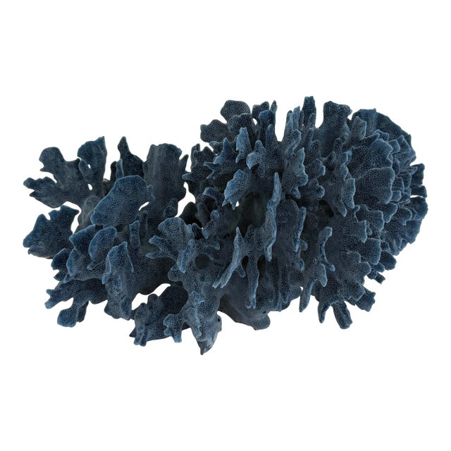 Natural Blue Coral Specimen Coastal Decor For Sale