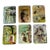 Vintage Japanese Themed Decorative Melamine Trays Made in Italy a Set of 6 For Sale