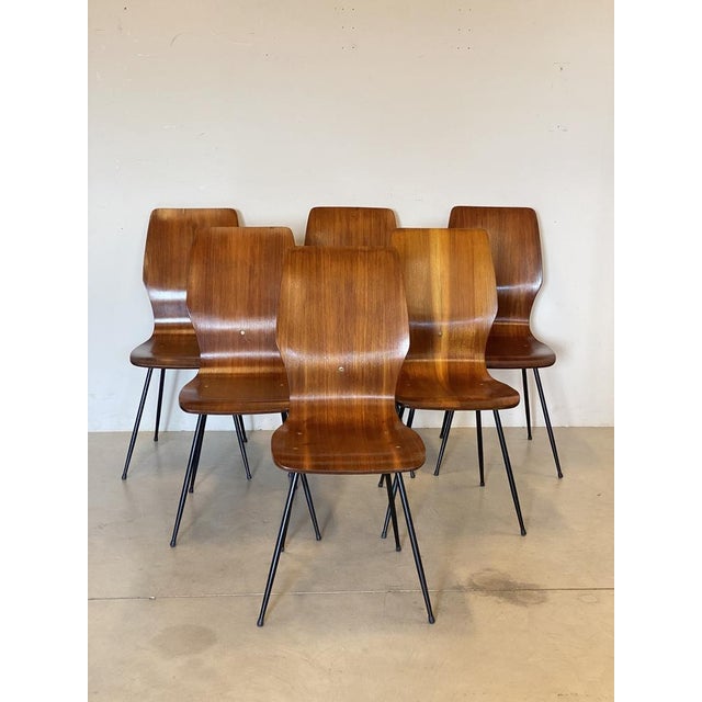 Mid-Century Modern Vintage Curved Plywood Chairs, Set of 6 For Sale - Image 3 of 18