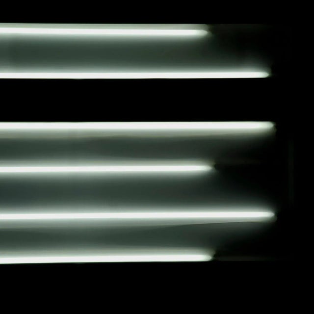 Early 21st Century Michael Banks, Dan 1, Pigment Print, 2011 For Sale - Image 5 of 6