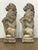 Pair of Cast Stone Armorial Lion Garden Statues From England - Two Available For Sale - Image 11 of 15