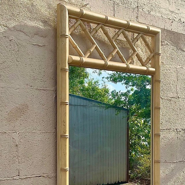 Vintage Chinese Chippendale Wood Vertical Mirror For Sale - Image 13 of 13