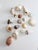 A collected assortment of vintage seashells in varied forms, textures, and natural tones ranging from soft ivory and sand...