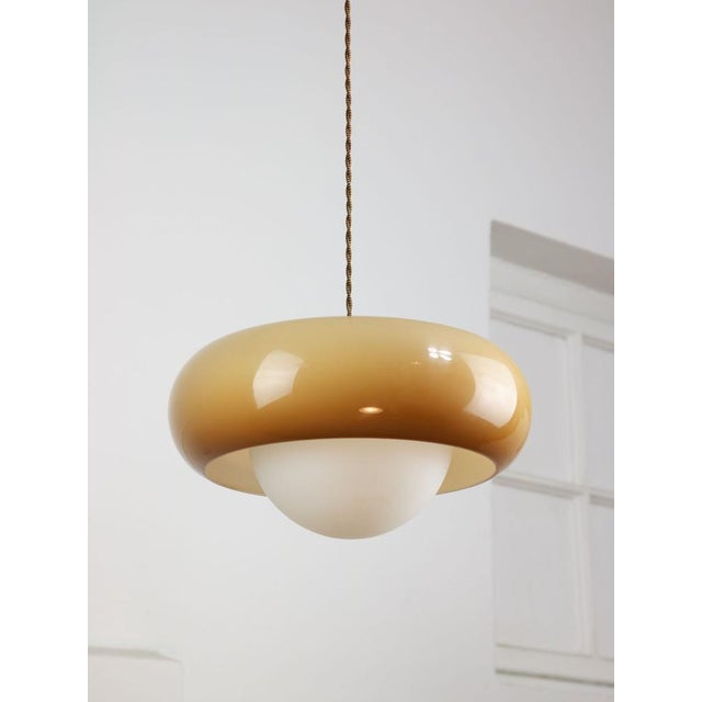 Space Age Brown Pendant Lamp from Guzzini, 1960s For Sale - Image 12 of 18