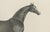 After Chalon, Thoroughbred Stallion Selim, Arabian Bloodlines, 1840, Lithograph For Sale - Image 5 of 9