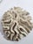 Shell Antique Natural Brain Coral Specimen For Sale - Image 7 of 8