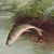 Cabin Leaping Brook Trout After Samuel Kilbourne (1874) Framed Reproduction Print For Sale - Image 3 of 6