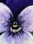 2020s Giclee Print Purple “Viola” Watercolor Painting For Sale - Image 5 of 5