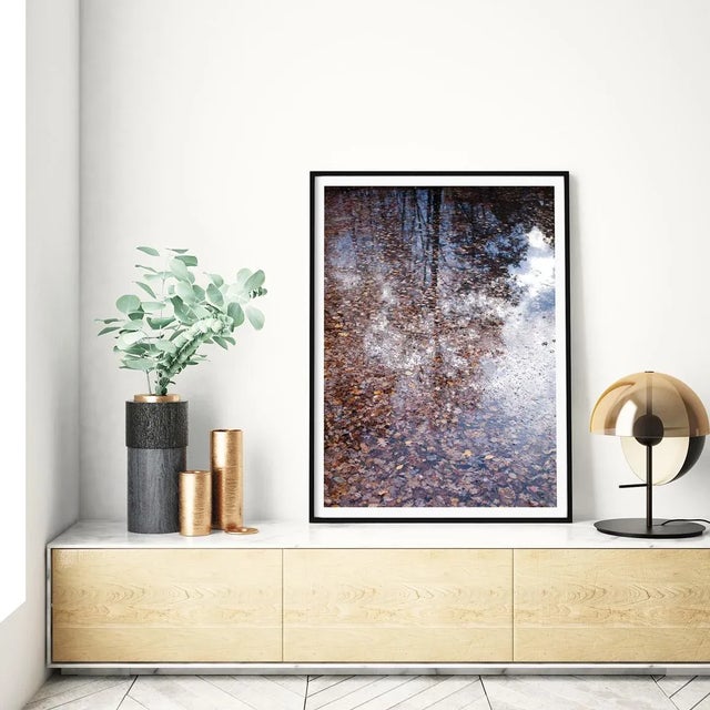 Contemporary Forest Landscape Photography Print, 'Autumn Detritus' 30 X 45" Fine Art Photograph For Sale In Boston - Image 6 of 8