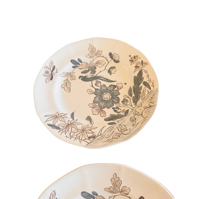 Vintage Adams India Parrot Gray Chinoiserie Ironstone Salad Plates, Set of 3 For Sale - Image 11 of 12