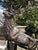 Stag Sculpture in Bronzed Aluminium For Sale - Image 3 of 9