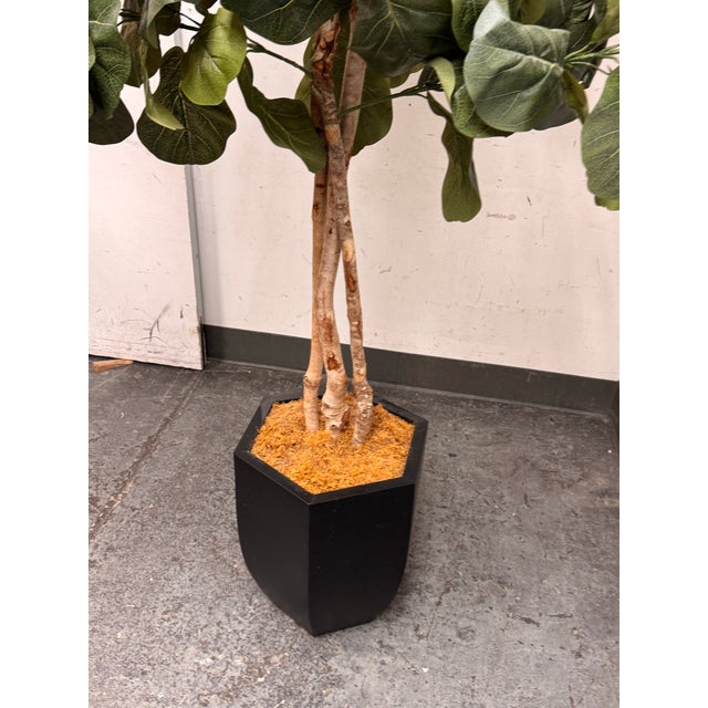 Faux Fiddle Leaf Fig Tree + Tapered Black Planter For Sale - Image 10 of 12