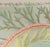 Cedar Waxing Birds Giclee Print Tamlyn Akins Soft Pastel Colors Mat Framed 13x17 For Sale - Image 4 of 16