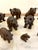 Small 19th Century Carved Oak Black Forest Bears, 1860s, Set of 15 For Sale - Image 13 of 16