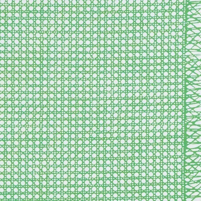 Sample - Schumacher X Vera Neumann Sugar Cane Fabric in Green For Sale