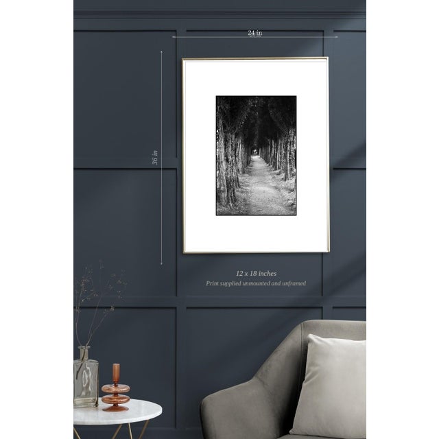 Not Yet Made - Made To Order Paul Cooklin, Treeline, Honfleur, France, Edition of 50 For Sale - Image 5 of 7