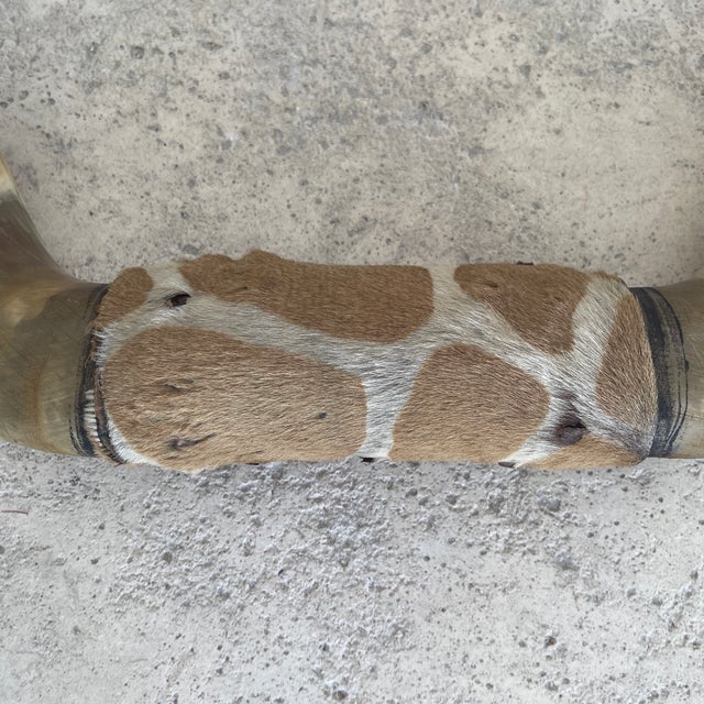 Vintage Bull Horns with Wood & Skin,decorative piece.