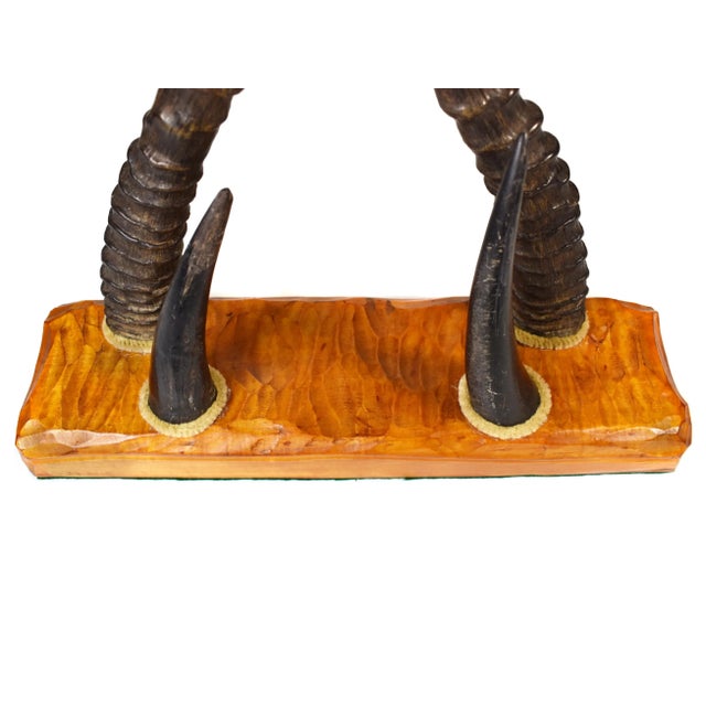 Early 20 Century Antelope Horn Desk Letter Paper Organizer For Sale - Image 9 of 11