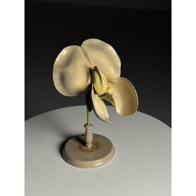 German Botanical Flower Model, 1900 For Sale - Image 12 of 18