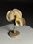 German Botanical Flower Model, 1900 For Sale - Image 12 of 18