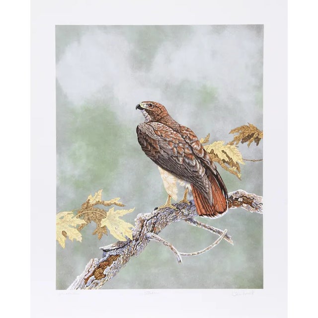 Chris Forrest, "Watcher," Lithograph For Sale