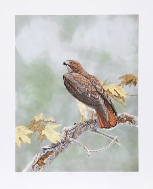 Chris Forrest, "Watcher," Lithograph