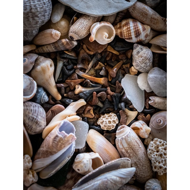 Beautiful, sophisticated, and elegant handmade seashell mirror. Dimensions 10.5" x 15.5". A neutral color scheme in...