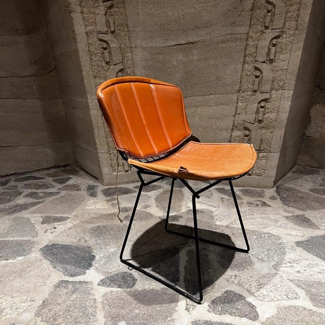1970s Vintage Bertoia Side Chair by Harry Bertoia, Black Rilsan, 1952 For Sale - Image 5 of 12