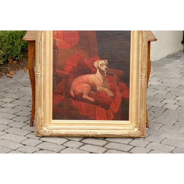 An English late 19th century oil painting of a dog sitting in an armchair with red cushion in giltwood frame. This...