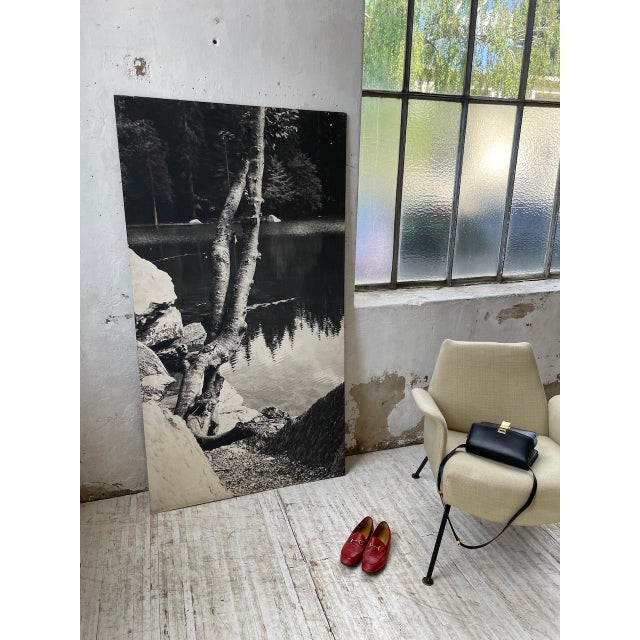 Black and White Tree Photograph in Wood & Paper, 1970s For Sale - Image 6 of 18