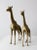 Brass Mid Century Brass Giraffes Pair For Sale - Image 8 of 13