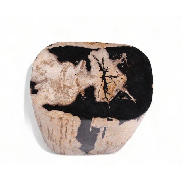 Large Oval Petrified Wood Accent Table or Side Table 2 For Sale - Image 4 of 10