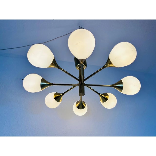 Mid-Century Modern Brass Chandelier from Kaiser Leuchten, 1960s For Sale - Image 10 of 11