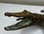 Antoine Bayre French Early 20th Century Bronze Crocodile Fountain Head Garden Outdoor Sculpture After Antoine-Louis Barye For Sale - Image 4 of 18