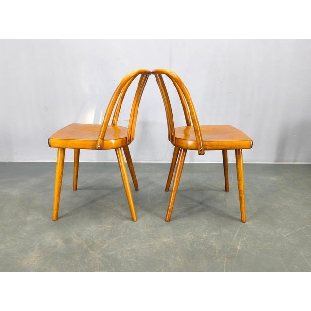 Dining Chairs by Antonin Suman for Ton, 1960s, Set of 4 For Sale - Image 14 of 18