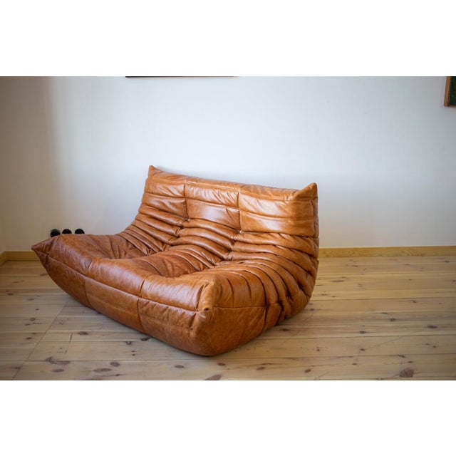 Pine Leather Togo 2-Seater Sofa by Michel Ducaroy for Ligne Roset For Sale - Image 3 of 5
