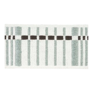 Sample - Schumacher Carmo Tape Medium in Sage For Sale