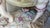 Late 19th Century Antique German Porcelain Figural Centerpiece Bowl, of Dresden or Von Schierholz Styles, Hand-Painted Putti For Sale - Image 5 of 15