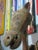 Monumental Mid-Century Mexican Folk Art whimsical hand-carved wood polychrome horse head sculpture. A very cool sculptural...