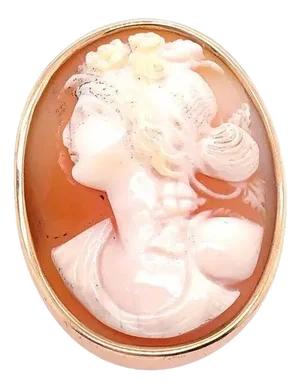 14 Karat Yellow Gold Cameo of Woman's Profile Pendant and Brooch