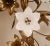 Castle Antiques & Design Antique French Candelabra Gold Bronze Brass Church Candelabra Opaline Glass Flowers For Sale - Image 4 of 11